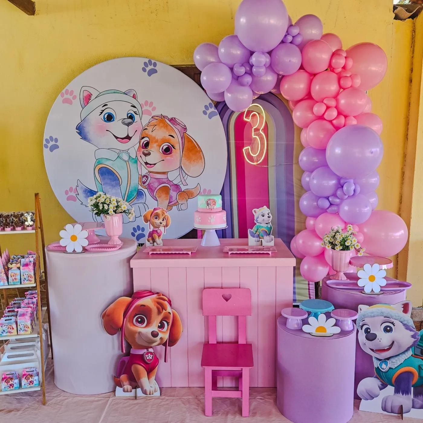 Patrulha Canina · 3 anos